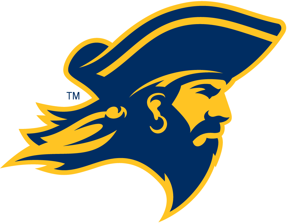 ETSU Buccaneers 2014-Pres Partial Logo DIY iron on transfer (heat transfer)